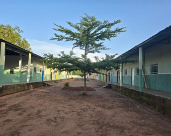 Coleta Missionária 2024
