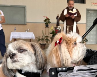 Benção animais 2026