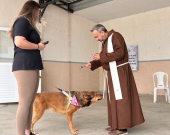 Benção animais 2026