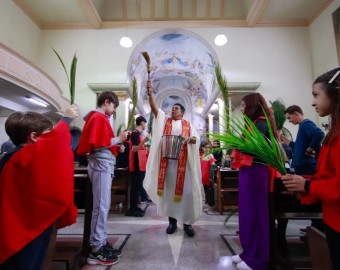 Domigo de Ramos Catedral 2024