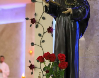 Festa das Nações rosas 