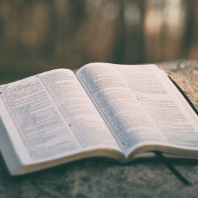 Quarenta anos da Exortação Familiaris Consortio e cinco anos da Exortação Amoris Laetitia