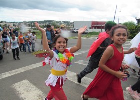 Carnaval Cavanis Castro